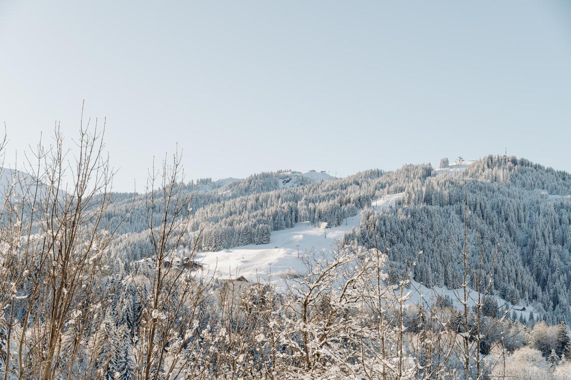 Les Chalets Du Mont D'Arbois & Spa, Megeve Exterior photo